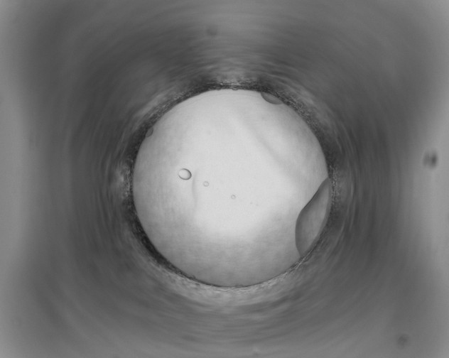 X0000096710043200802261640