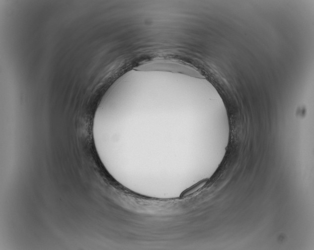 X0000096710044200802261640