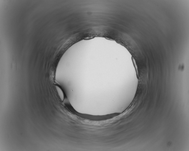 X0000096710045200802261640