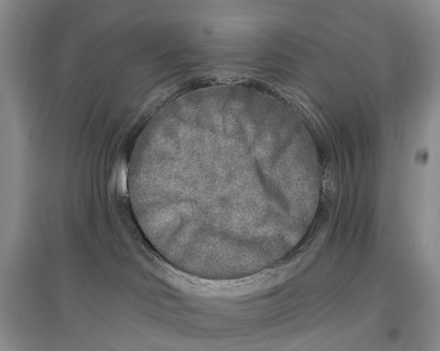 X0000096710046200802261640