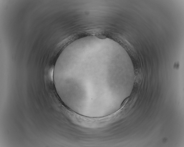 X0000096710047200802261640