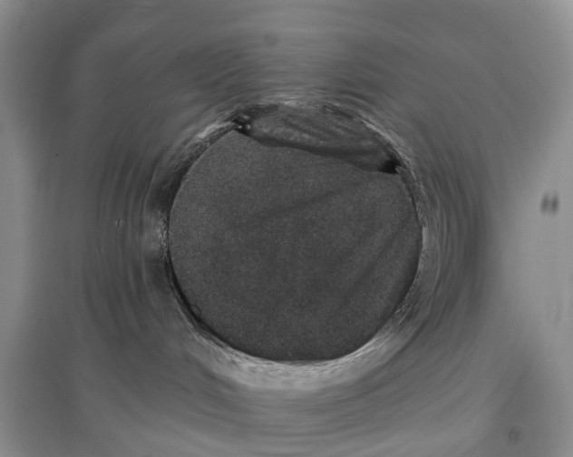 X0000096710048200802261640