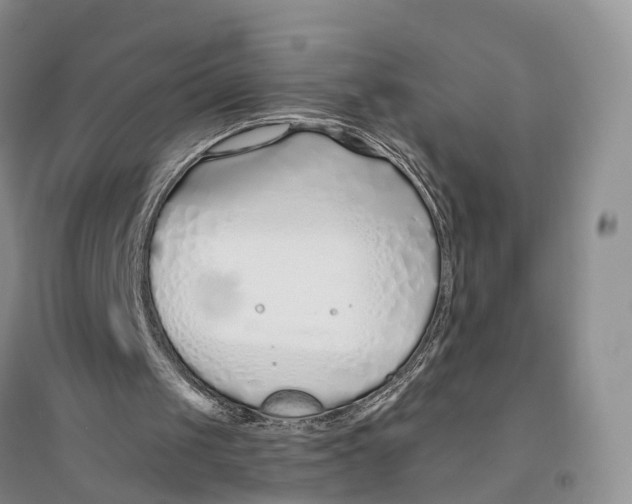 X0000096710049200802261639