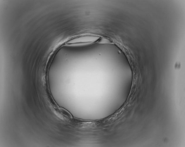 X0000096710050200802261639