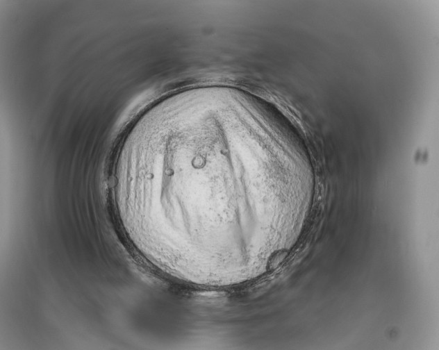 X0000096710053200802261639