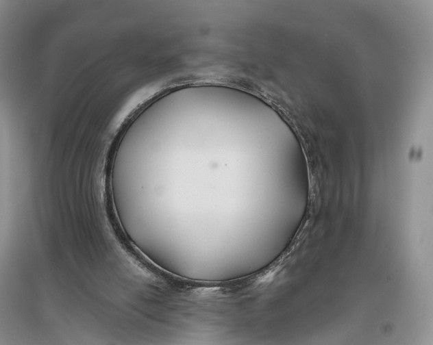 X0000096710054200802261639