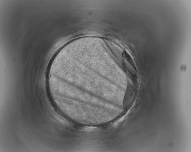 X0000096710055200802261639