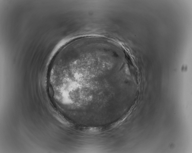 X0000096710056200802261639