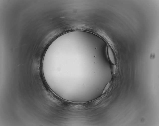 X0000096710058200802261639