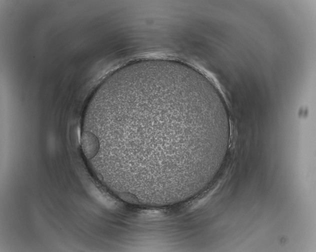 X0000096710061200802261639