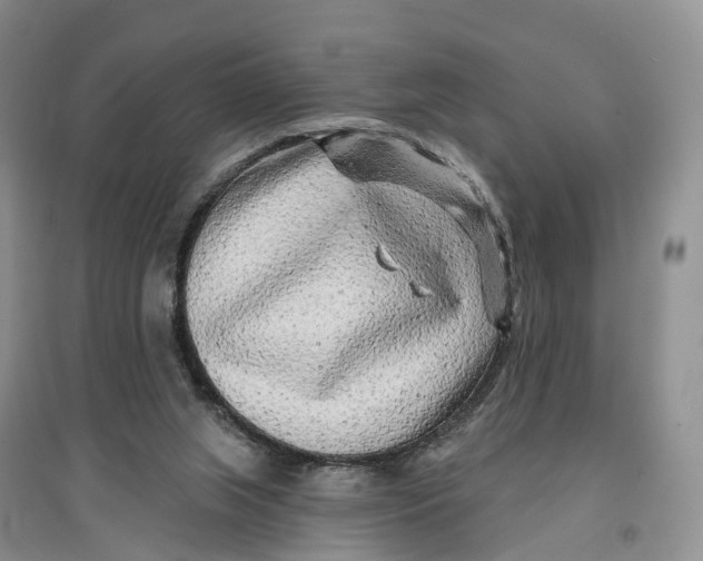 X0000096710063200802261639