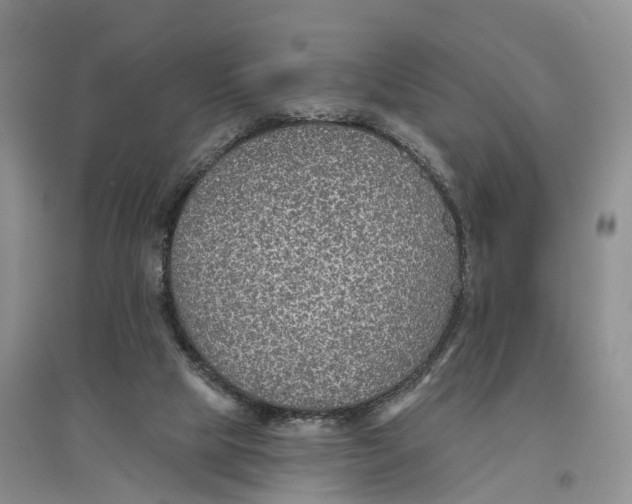 X0000096710065200802261639