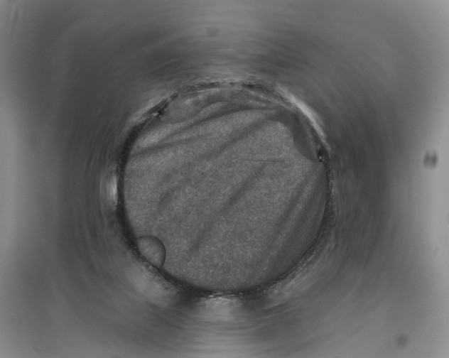 X0000096710067200802261639