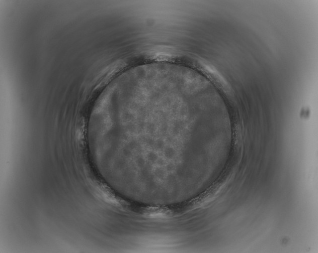 X0000096710073200802261639