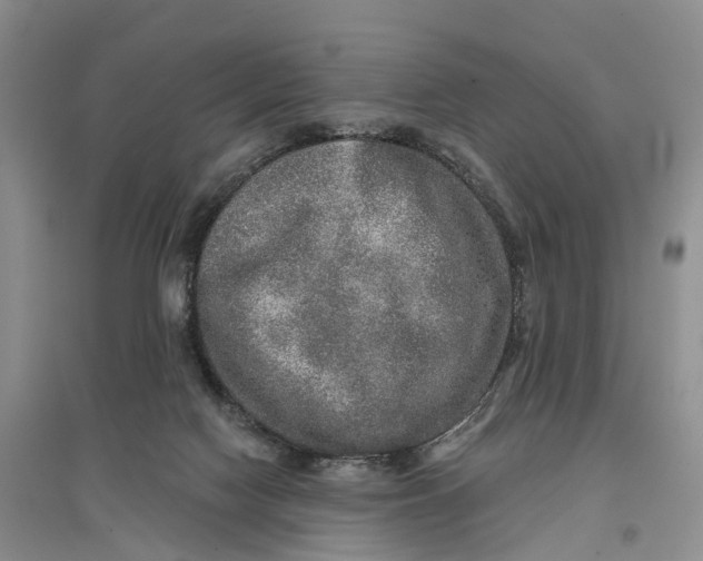 X0000096710074200802261639