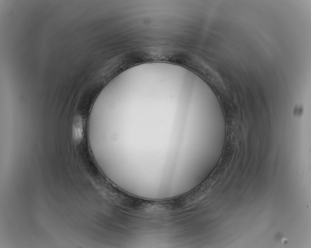 X0000096710075200802261639