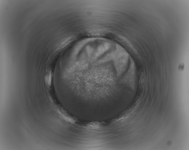 X0000096710076200802261639