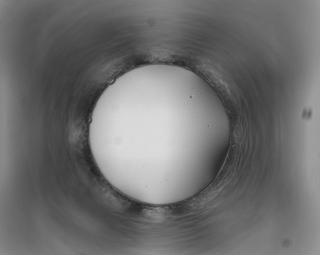 X0000096710079200802261639