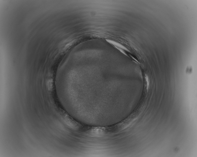 X0000096710080200802261639