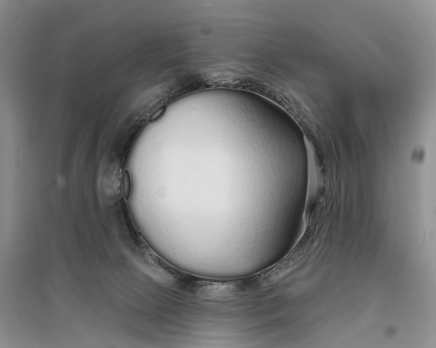 X0000096710081200802261639