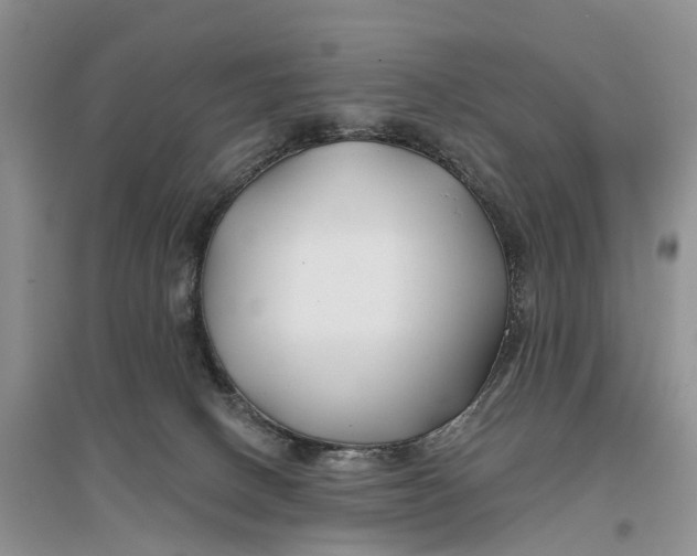 X0000096710082200802261639