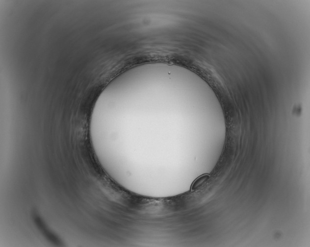 X0000096710083200802261639