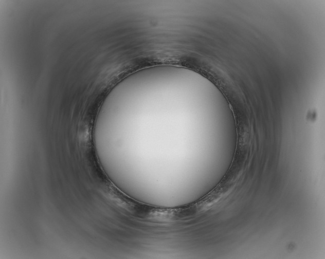 X0000096710084200802261639