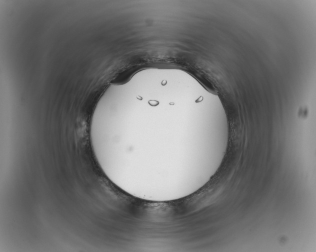 X0000096710087200802261639