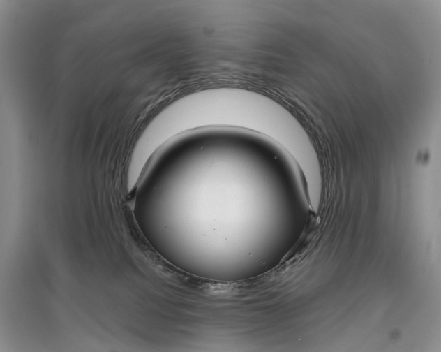 X0000096710088200802261639