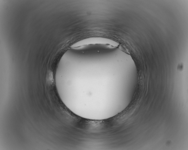 X0000096710089200802261639