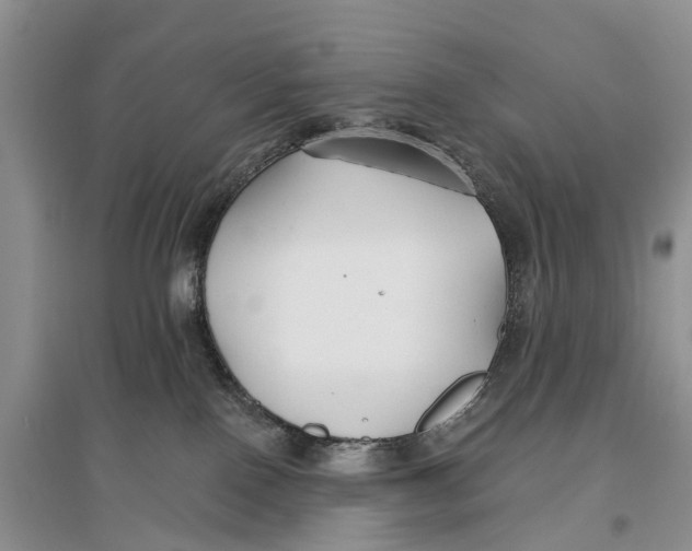 X0000096710090200802261639