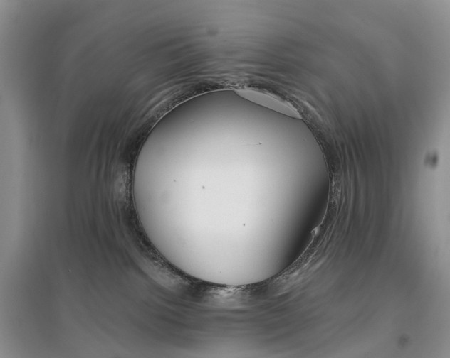 X0000096710092200802261639