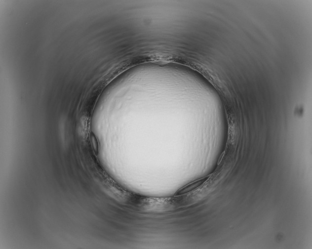 X0000096710093200802261639