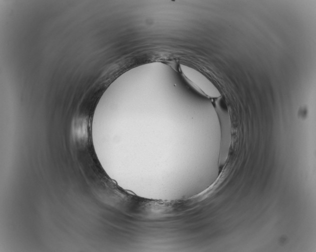 X0000096710094200802261640