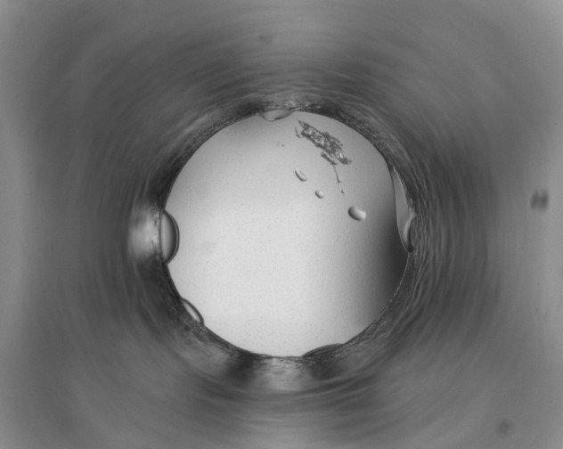 X0000096710095200802261640