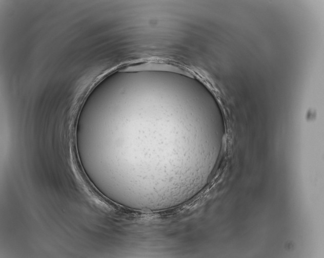 X0000096710097200802261639