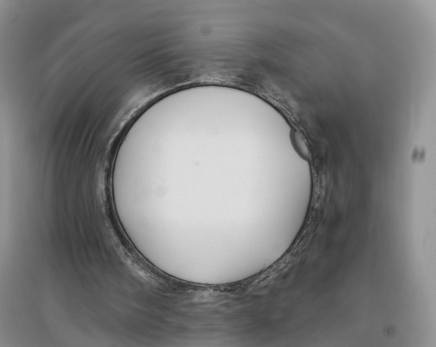 X0000096710098200802261639