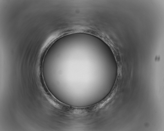 X0000096710101200802261639