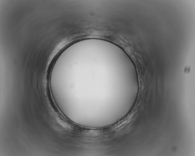 X0000096710102200802261639