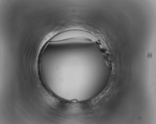 X0000096710104200802261639