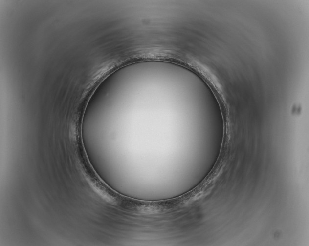 X0000096710105200802261639