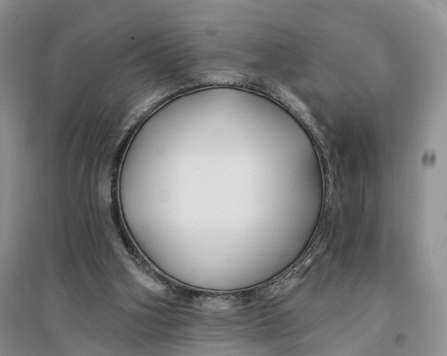 X0000096710106200802261639