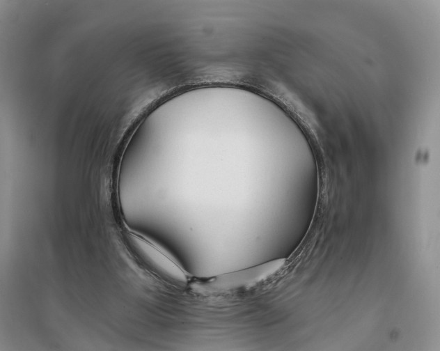 X0000096710107200802261639