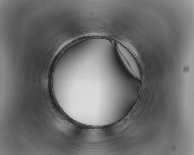 X0000096710108200802261639