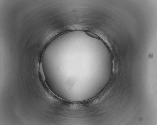 X0000096710109200802261639