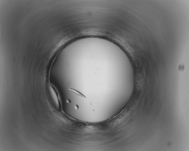 X0000096710111200802261639