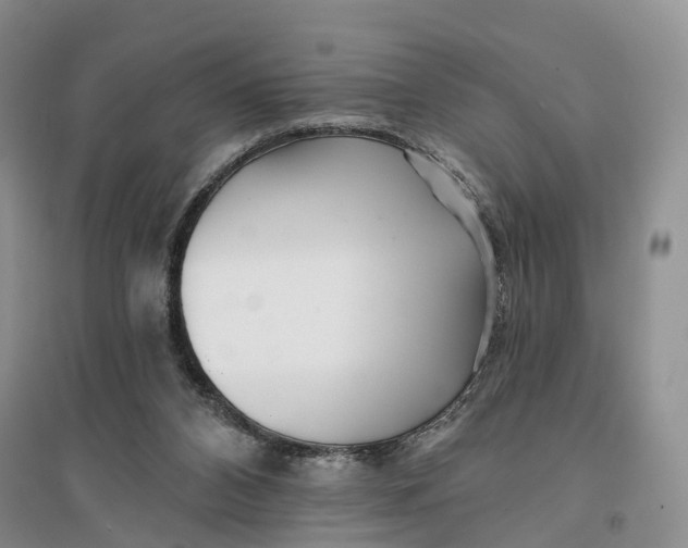 X0000096710112200802261639