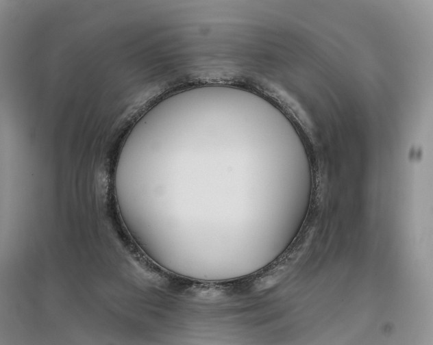 X0000096710113200802261639