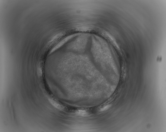 X0000096710114200802261639