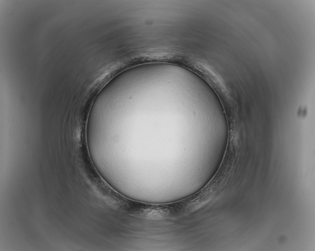 X0000096710115200802261638